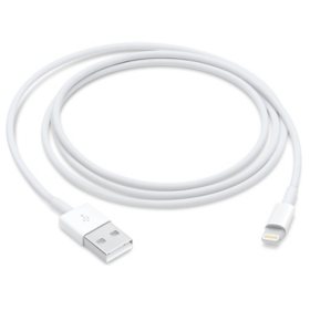 Apple Lightning to USB Cable (1 m)