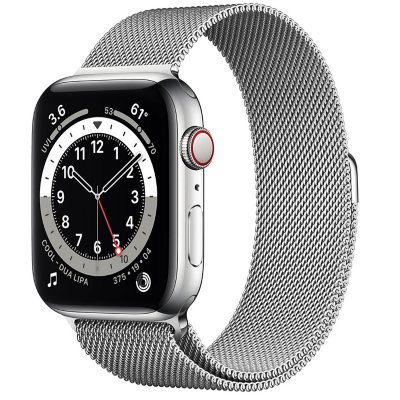 Apple Watch Series 6 Stainless Steel Case with Milanese Loop 44mm