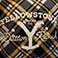 Rancher Plaid, variant on Yellowstone 20" x 20" Double Sided Woven Pillow, Assorted Designs