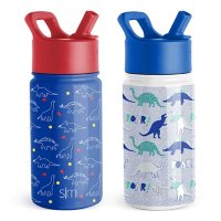 Simple Modern Kids 16-oz. Tritan Summit with Straw Lid, 2 Pack (Assorted Colors)