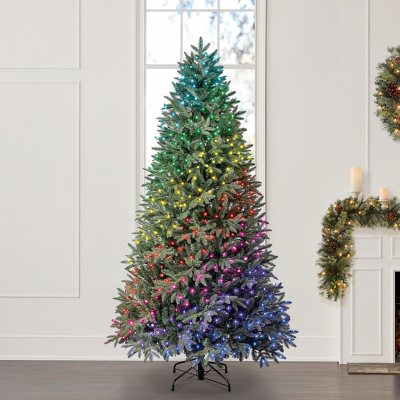 Pre lit douglas fir christmas deals tree