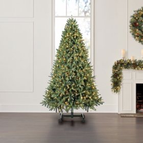 Christmas Trees Sam S Club