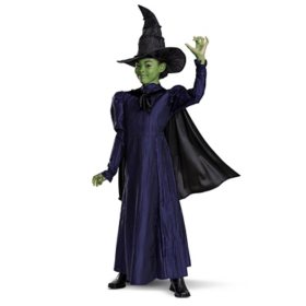 Wicked Elphaba Kids Deluxe Costume