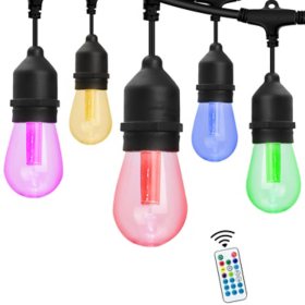 Westinghouse 24 Bulb Color Changing String Light 48 Foot		