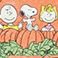 Peanuts - Online Only, variant on Women's Harvest Character Sweatshirt