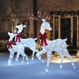 Outdoor Christmas Decor - Outdoor Holiday Decor - Sam's Club