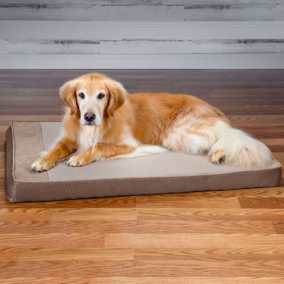 Sam's club on sale dog bed