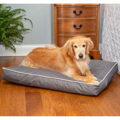 sam's club dog beds in store