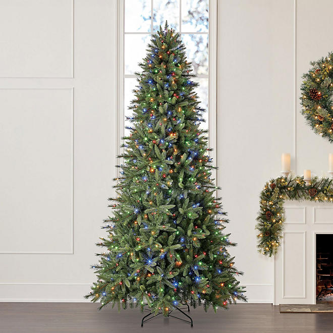 Member's Mark 9' Grand Spruce Christmas Tree
