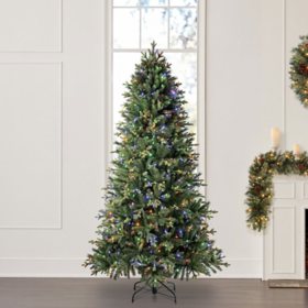 7 7 5 Ft Christmas Trees Sam S Club