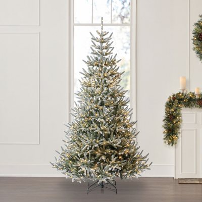 Member\'s Mark 7.5\' Snowy Georgia Fir Christmas Tree - Sam\'s Club