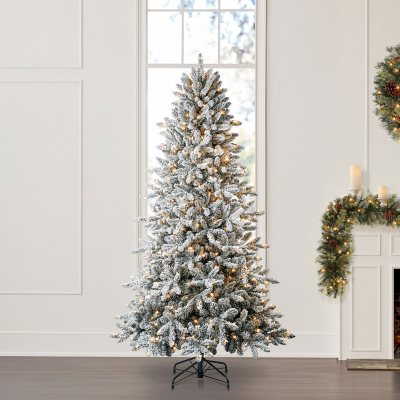 Member's Mark 7.5' Aspen Pine Flocked Christmas Tree - Sam's Club