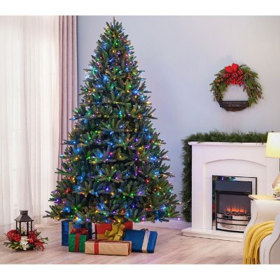 Member's Mark 7.5' Pre-Lit Bristle Fir Tree - Sam's Club