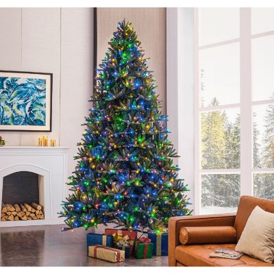 Member’s Mark 9′ Bristle Fir Christmas Tree