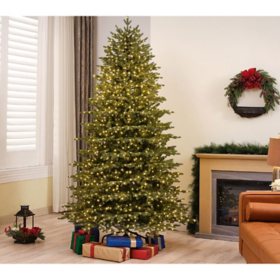 Member's Mark Pre-Lit 7.5' Balsam Fir Christmas Tree		