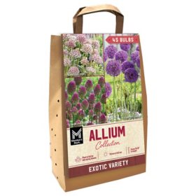 Member's Mark Allium Collection Dormant Bulbs, 45pk