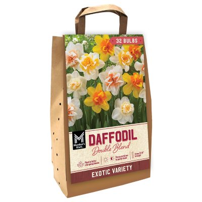 Daffodil Double Mix Package of 36 Dormant Bulbs Sam's Club