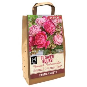 Member's Mark Peonies/Nectaroscordum Dormant Bulbs, 24pk