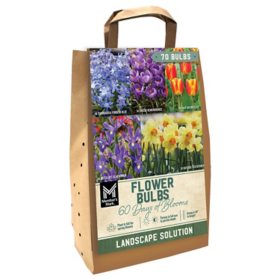 Member's Mark 60 Days of Blooms Chionodoxa, Crocus, Daffodil, Tulip, and Dutch Iris Dormant Bulbs, 70pk