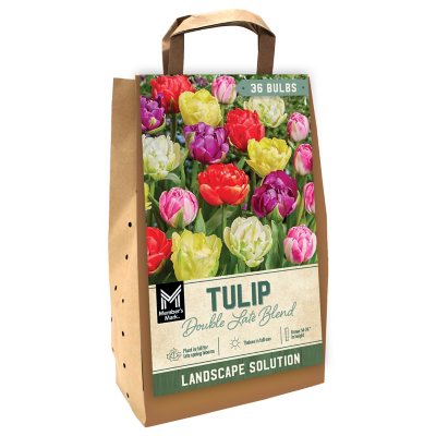 Tulip Double Late Mix Package of 42 Dormant Bulbs Sam's Club