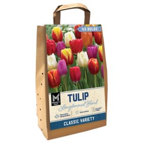 Member's Mark Tulip Longstemmed Blend Dormant Bulbs, 45pk