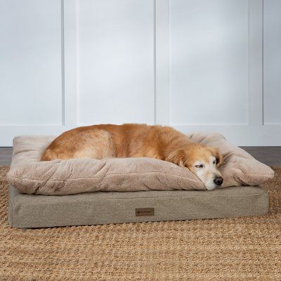 Sam's club dog shop beds in store