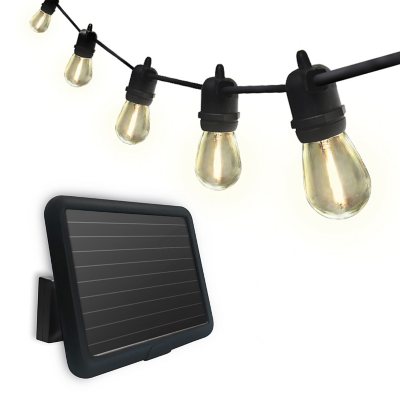 Member's Mark 35' 15-Bulb LED Solar String Lights