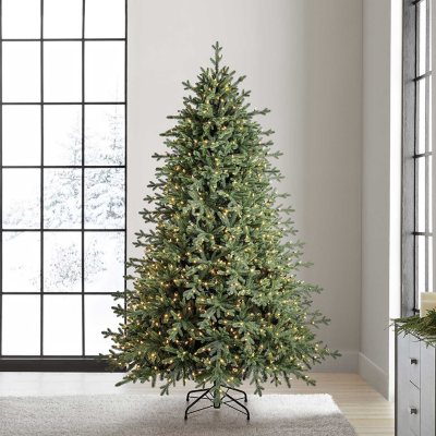 Member's Mark 7.5' Pre-Lit Warm White LED Linden Spruce Tree - Sam's Club