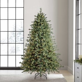 Member's Mark 7.5' Pre-Lit Warm White LED Linden Spruce Tree
