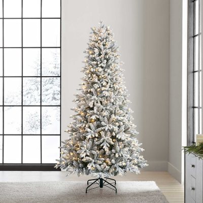 Member's Mark 7.5' Pre-Lit Warm White LED Arctic Fir Tree - Sam's Club