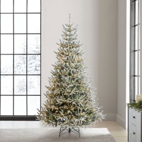 Member's Mark 7.5' Pre-Lit Warm White LED Fairy Light Snowy Georgia Fir Tree
