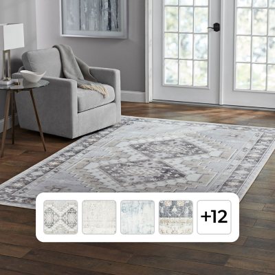 Area Rug Living Room Rugs: 3x5 Machine Washable Non Slip Thin Carpet Soft  Indoor Luxury Floral Stain Resistant Carpets for Under Dining Table Bedroom