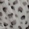 Snow Leopard, variant on Member's Mark Luxury Faux Fur Throw 60" x 70"