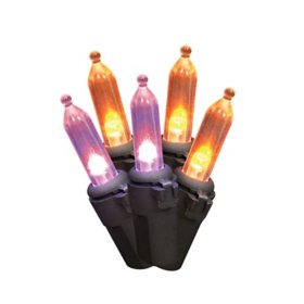 Member's Mark Halloween 100Ct LED Color Changing Mini Lights with Spool