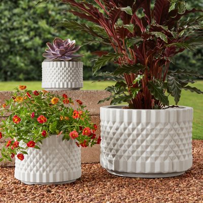 Organic Ceramic Planters Set of 2