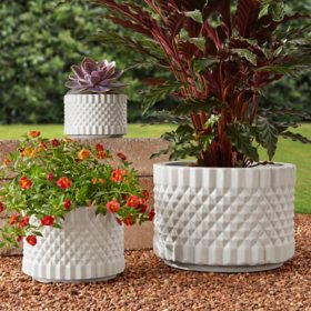 Members Mark 3-Pack Ceramic Planters