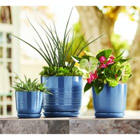 Member's Mark 3-Pack Ceramic Planters with Saucers