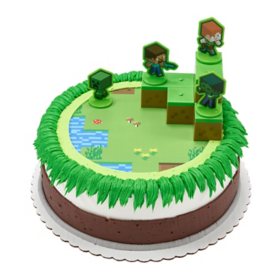 Minecraft 10" Double Layer Cake