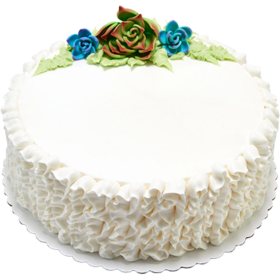 Succulents with Ruffles 10" Double Layer Cake