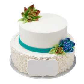 Succulents with Ruffles Two-Tier Cake