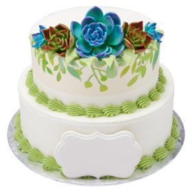 Succulents with Texture Two-Tier Cake