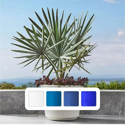 https://scene7.samsclub.com/is/image/samsclub/0019396829831_A1
