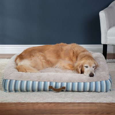 Shop Pet Supplies.