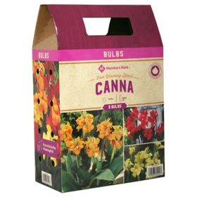 Member's Mark Cannas Low Growing Blend Picasso, Red Futurity & Yellow Futurity Bulbs
