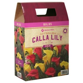 Member's Mark Calla Lily - Pink & Yellow Blend Bulbs