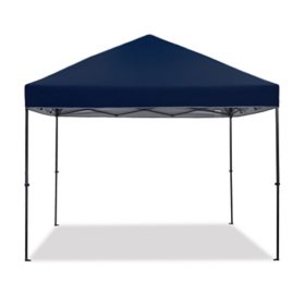 NFL Detroit Lions Canopy 9 x 9 with Wall - Sam's Club