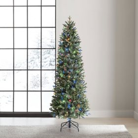 Member's Mark 7' 300 LED Pre-lit Dawson Pine Christmas Tree