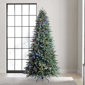 Member's Mark 9' 800 LED Pre-Lit Grand Spruce Christmas Tree