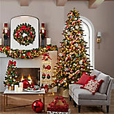 Shop Christmas Trees.