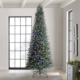 Member's Mark 12' 1,100 LED Pre-lit Ellsworth Christmas Tree